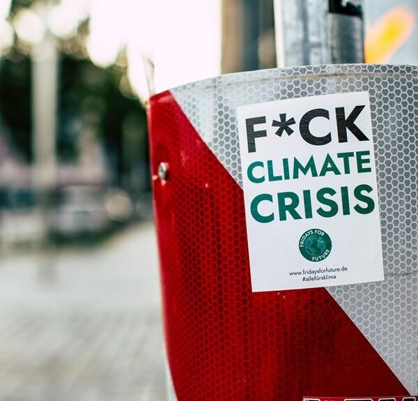 increase traffic online campaigns